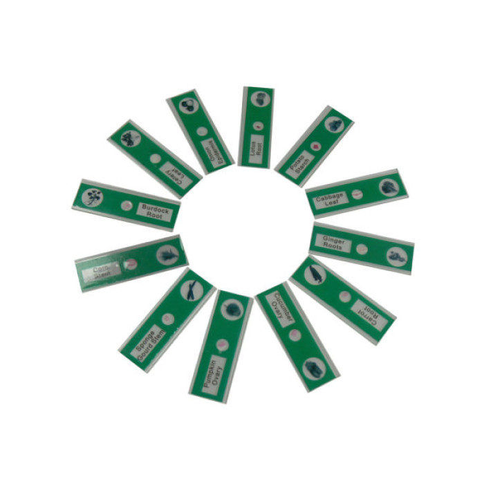 Набір мікропрепаратів Sigeta Entrance Тканини рослинних організмів 12 шт (65124)