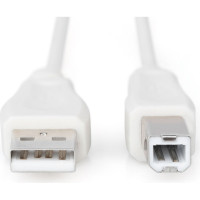 Кабель для принтера USB 2.0 AM/BM 1.8m Digitus (AK-300102-018-E)