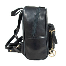 Рюкзак туристичний Ashwood T87 Black