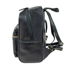 Рюкзак туристичний Ashwood T87 Black