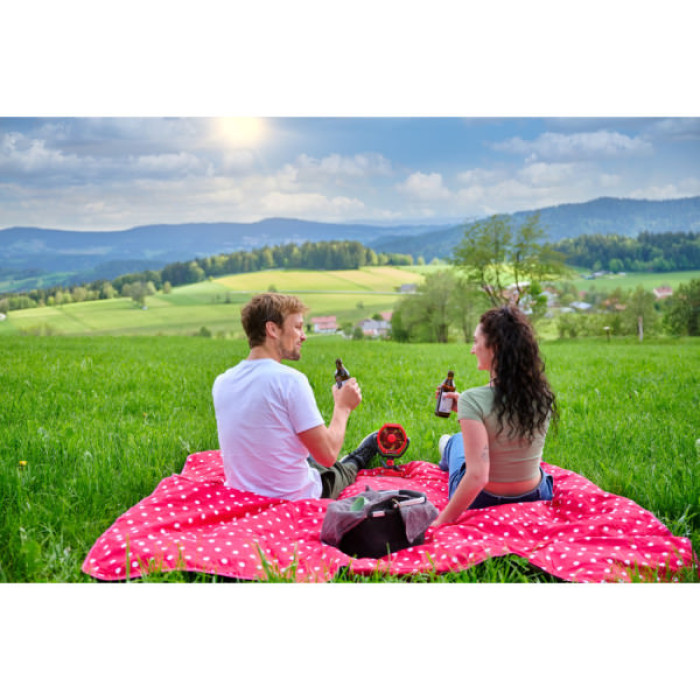 Вентилятор Einhell GC-CF 18/110 Li-Solo (3408061)