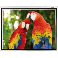 Проекційний екран Equipify SGM-4304