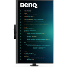 Монітор BenQ RD320UA Metallic Grey