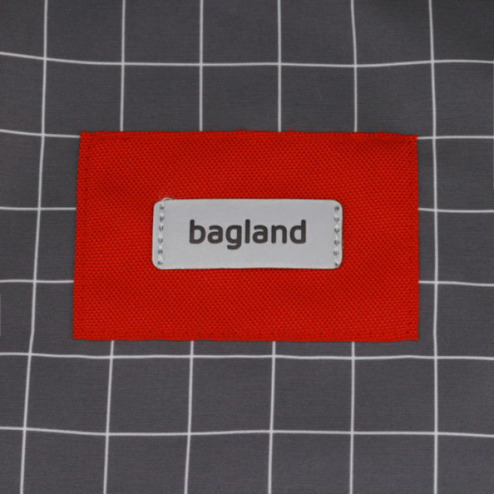 Рюкзак для ноутбука Bagland 17" Stylish XL 35L+print, gray 1339/00558694 (1120220801)