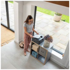 Лазерний принтер Brother HLL2442DWYJ1