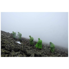 Дощовик Turbat Molfar green S/M (012.005.0300)