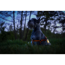 Ліхтар Armytek Zippy Extended Set Blue (F06101B)