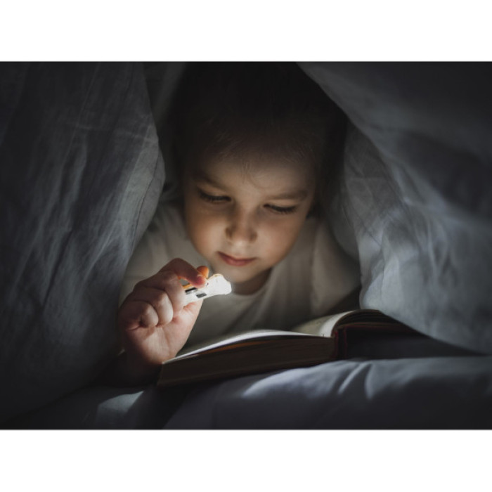 Ліхтар Armytek Zippy Extended Set Blue (F06101B)