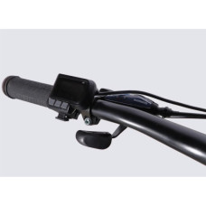 Електровелосипед Formula 29" eMOTION PLUS DD FR рама-19" 36B 12.5А*г 500Вт 2026 зелено-сірий (ELB-FR-29-257)