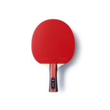 Ракетка для настільного тенісу Butterfly Team Champion FL (6256800002) (931840)