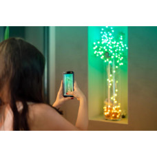 Гірлянда Twinkly mart LED, Strings USB 100 Pearl-shaped RGB LEDs, Green Wire, USB-C 6м (TWKP100RGB-G)