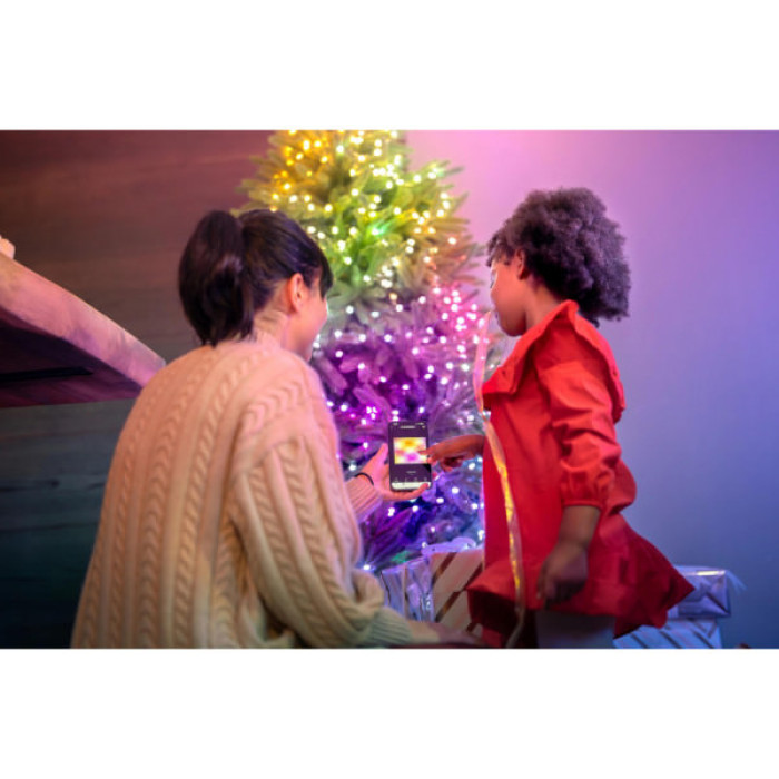 Гірлянда Twinkly mart LED, Strings USB 100 Pearl-shaped RGB LEDs, Green Wire, USB-C 6м (TWKP100RGB-G)