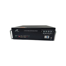 Батарея LiFePo4 Ritar 48V 100Ah (R-LFP48V100Ah)