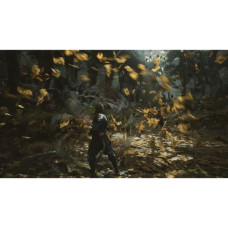 Гра Sony Black Myth: Wukong, BD диск (5056635611864)