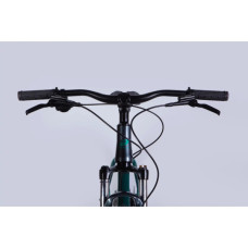 Велосипед Formula 29" ZEPHYR 1.0 HDD рама-19" AL 2026 темно-сріблястий з зеленим (OPS-FR-29-449)