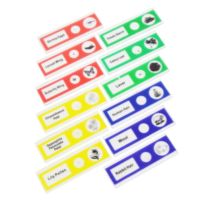 Набір мікропрепаратів Sigeta Entrance Mix (12 шт) (65127)