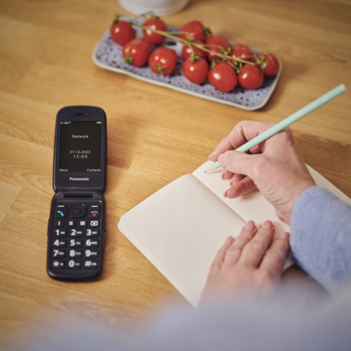 Мобільний телефон Panasonic KX-TU550 Red (KX-TU550EXR)