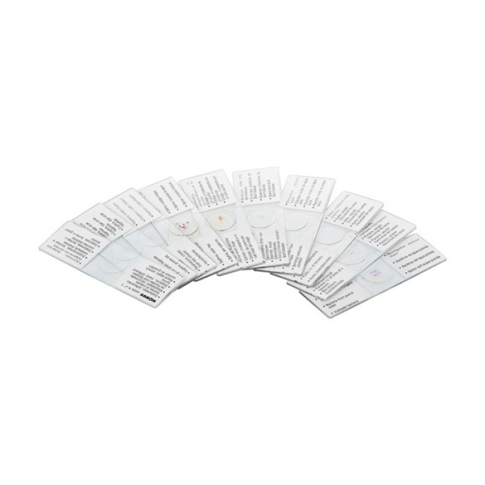 Набір мікропрепаратів Konus Біологія Життя в ґрунті 10 шт (4950)