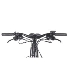 Електровелосипед Formula eCURSOR MAN AM DD 29" 19" 48B 17.5А*г 500Вт 2026 чорно-зелений (ELB-FR-29-244)