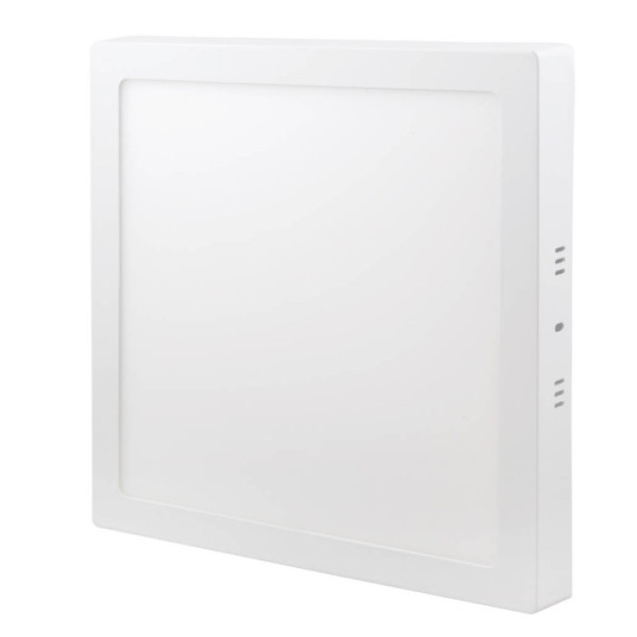 Світильник точковий Євросвітло LED-SS-300-24 4200К