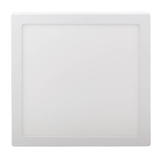 Світильник точковий Євросвітло LED-SS-300-24 4200К