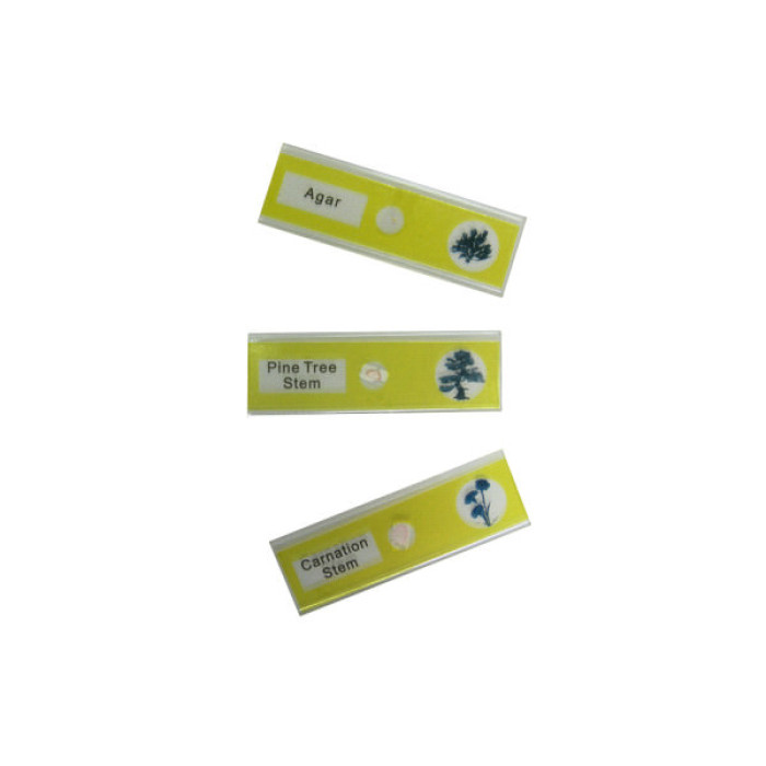 Набір мікропрепаратів Sigeta Entrance Життєві цикли рослин 12 шт (65125)