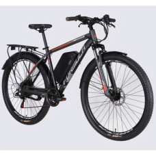 Електровелосипед Formula 29" eMOTION PLUS DD FR рама-19" 48B 15А*г 500Вт 2026 сіро-сріблястий (ELB-FR-29-261)