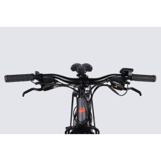 Електровелосипед Formula 29" eMOTION PLUS DD FR рама-19" 48B 15А*г 500Вт 2026 сіро-сріблястий (ELB-FR-29-261)