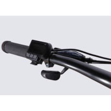 Електровелосипед Formula 29" eMOTION PLUS DD FR рама-19" 48B 15А*г 500Вт 2026 сіро-сріблястий (ELB-FR-29-261)