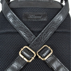 Рюкзак туристичний Ashwood G38 Black