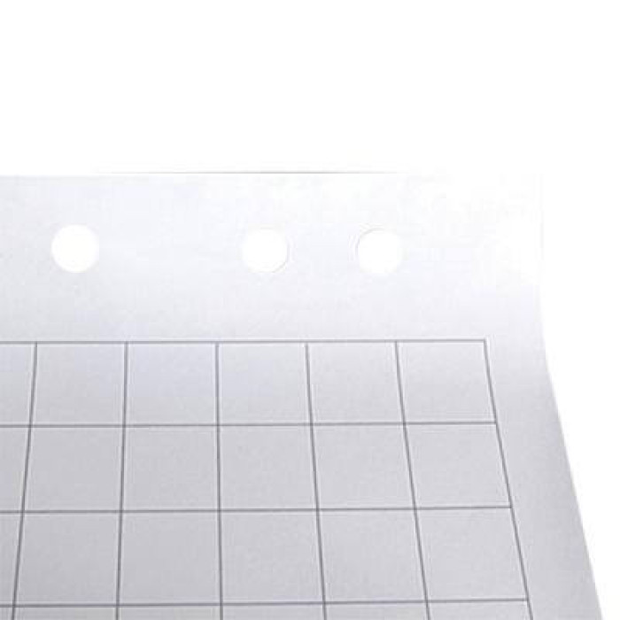 Папір для фліпчарта Axent 64х90, 30 sheets.,square (8065-А)
