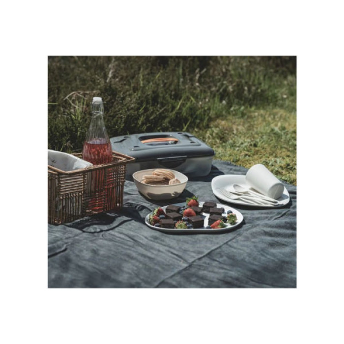 Набір для пікніка Easy Camp Picnic Box M (680239) (931746)
