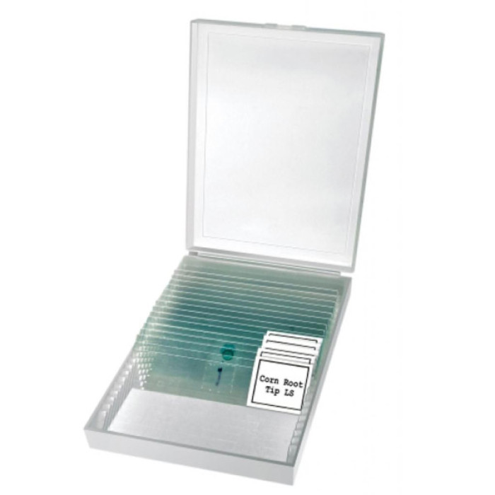 Мікроскоп Bresser Erudit Basic Bino 40x-400x (922746)