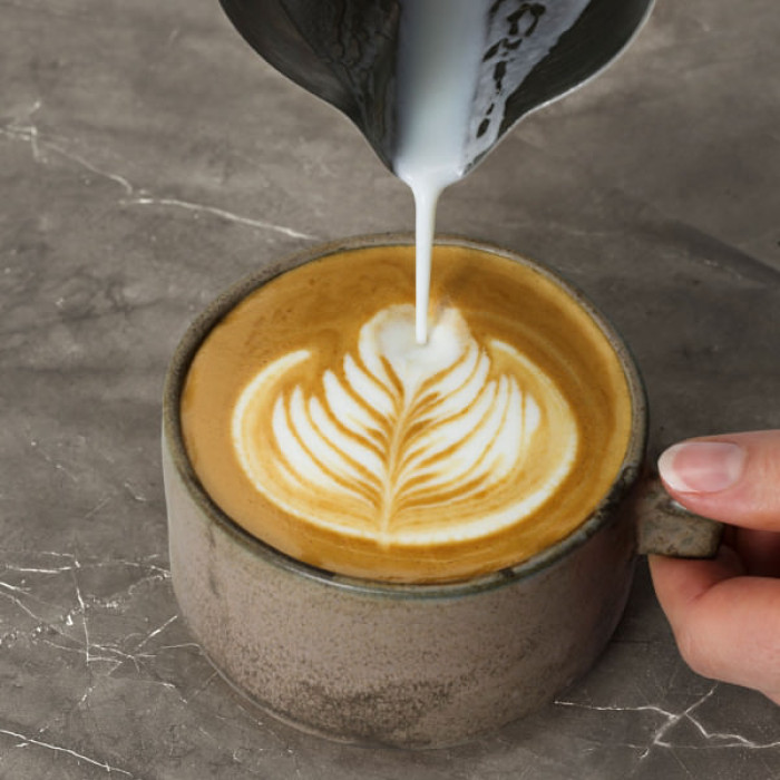 Ріжкова кавоварка еспресо Electrolux E8EC1-8BP