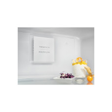 Холодильник Electrolux LNT5ME36U1