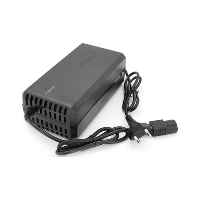 Мережевий зарядний пристрій для АКБ Jinyi JN-4860/54640