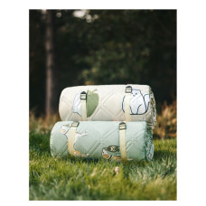 Туристичний килимок Naturehike 210х240 см CNK2350WS010 Світло-салатовий (6976507661713)