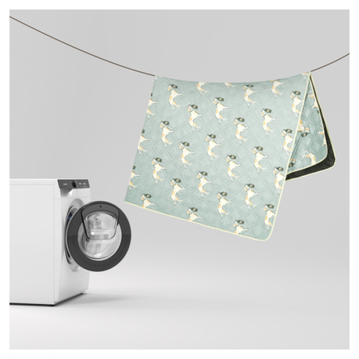 Туристичний килимок Naturehike 210х240 см CNK2350WS010 Світло-салатовий (6976507661713)