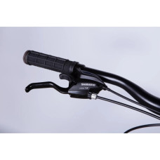 Велосипед Formula 29" MOTION DD FR рама-21" AL 2026 зелений (OPS-FR-29-425)