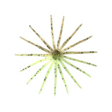 Силікон рибальський Keitech Little Spider 2" (8 шт/уп) EA03 Grape (1551.11.74)