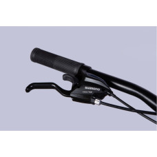 Велосипед Space 29" PHAETON DD FR рама-18" AL 2026 сріблясто-червоний (OPS-SP-29-181)