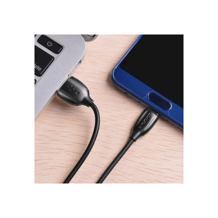 Дата кабель USB 2.0 AM to USB-C 1.0m 3A PVC BX19 black BOROFONE (6931474701794)