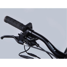 Електровелосипед Formula 29" eF-1 DD CS рама-21" 48B 12.5А*г 500Вт 2026 сріблясто-чорний (ELB-FR-29-254)