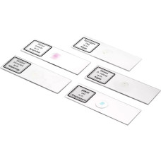 Мікроскоп Bresser Biolux DLX 20x-1280x (5014000) (931424)