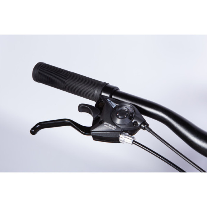 Велосипед Space 24" MARS DD FR рама-11" ST 2026 золотисто-чорний (OPS-SP-24-058)