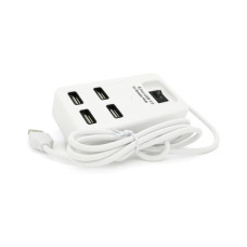 Концентратор Voltronic USB 2.0 to 4xUSB with power switch white (YT-HWS4-W)