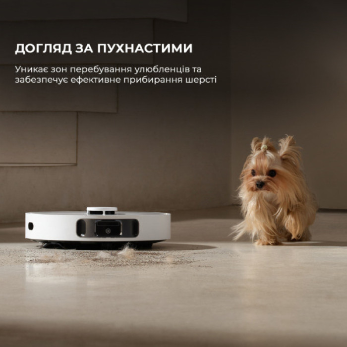 Пилосос Dreame Bot D20 Ultra (RLD31SE)