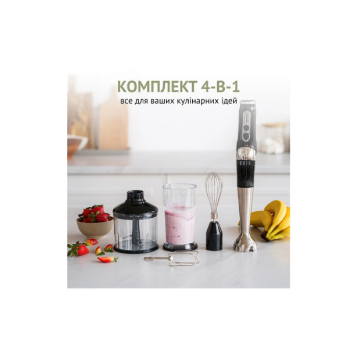 Блендер QUIN RHB-301