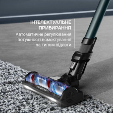 Пилосос Rowenta RH9AD1WO