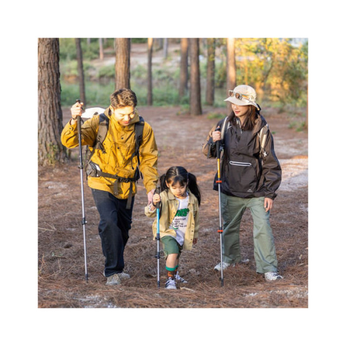 Трекінгові палиці Naturehike 1шт ST 01 6061 AL NH17D001-Z золотиста (6975641885658)